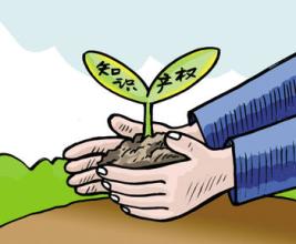 商標(biāo)續(xù)展才是保護(hù)商標(biāo)的優(yōu)質(zhì)之選？（已解決）