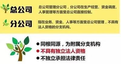 注冊子公司好還是分公司好，子公司和分公司有什么區(qū)別？